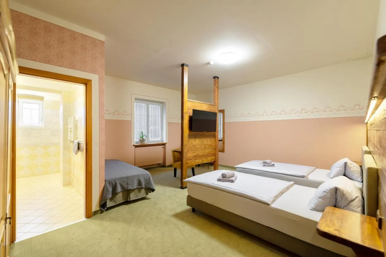 ***  Hotel U Simla Karlovy Vary Česká republika
